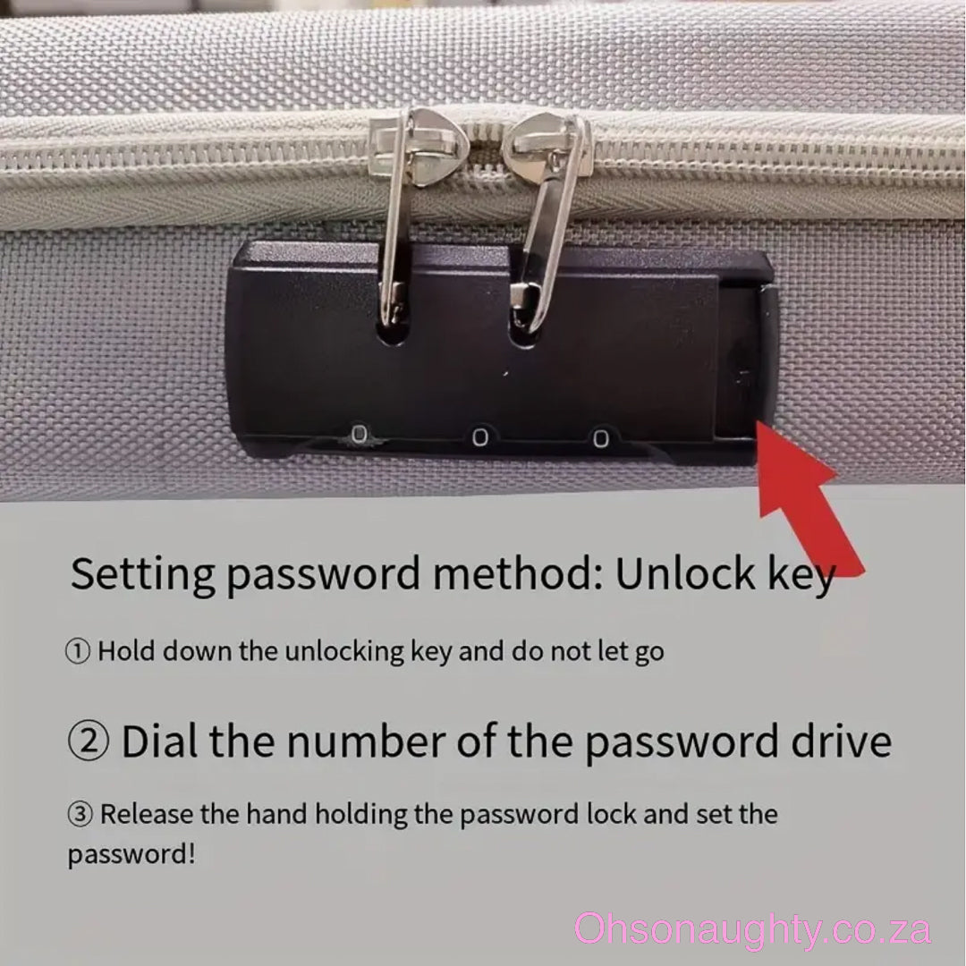 Toy Storage Case with Password Lock Oh So Naughty